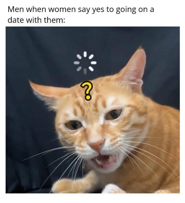 Daily Pictures. Part 2 (66 pics)