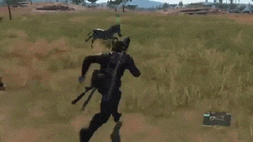 Acid GIFs, January 21 (25 gifs)