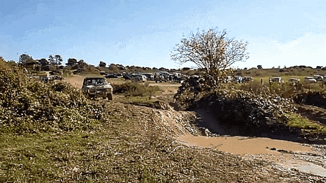 Acid GIFs, January 21 (25 gifs)