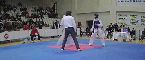 Acid GIFs, January 21 (25 gifs)