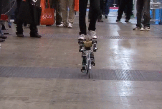 Acid GIFs, January 21 (25 gifs)