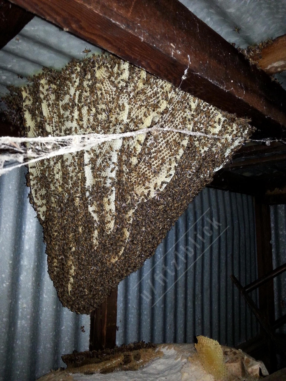 Bad Days Happen (25 pics)