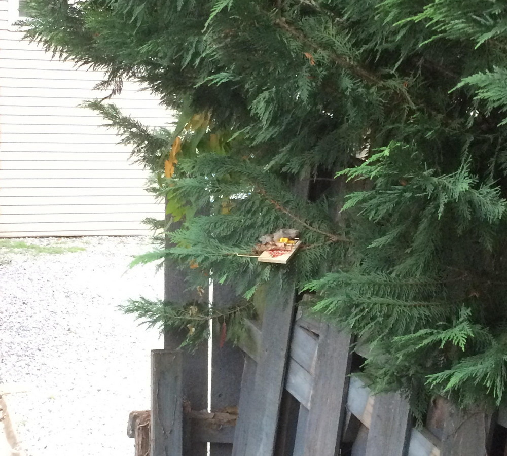 Bad Days Happen (25 pics)