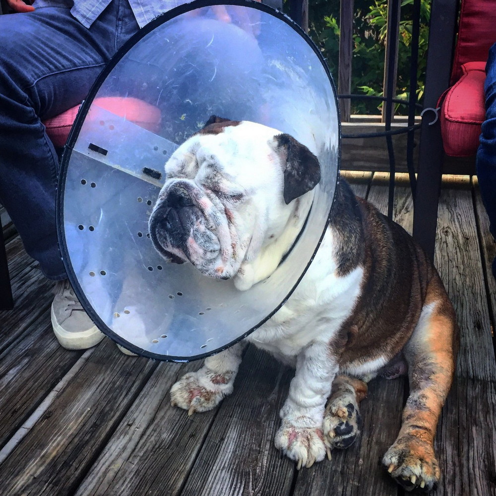 Bad Days Happen (25 pics)