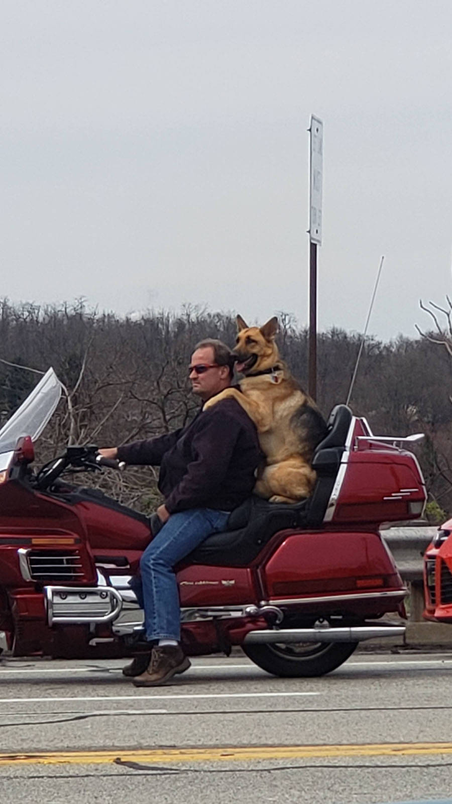 Daily Pictures. Part 1 (71 pics) Daily Pictures. Part 1 (71 pics)