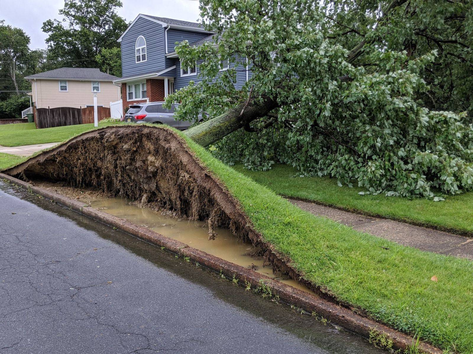 Daily Pictures. Part 1 (71 pics) Daily Pictures. Part 1 (71 pics)