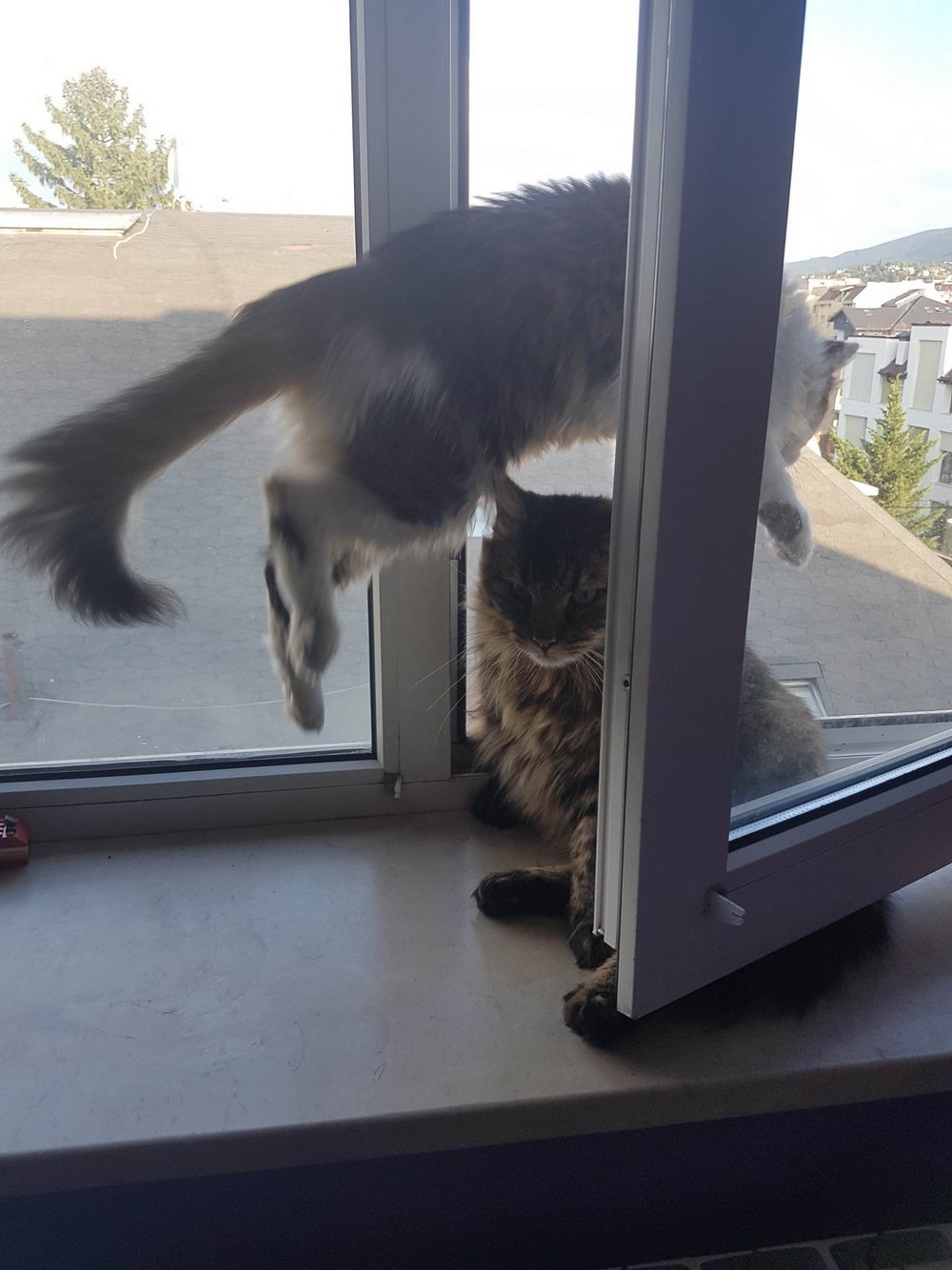 Daily Pictures. Part 1 (71 pics) Daily Pictures. Part 1 (71 pics)