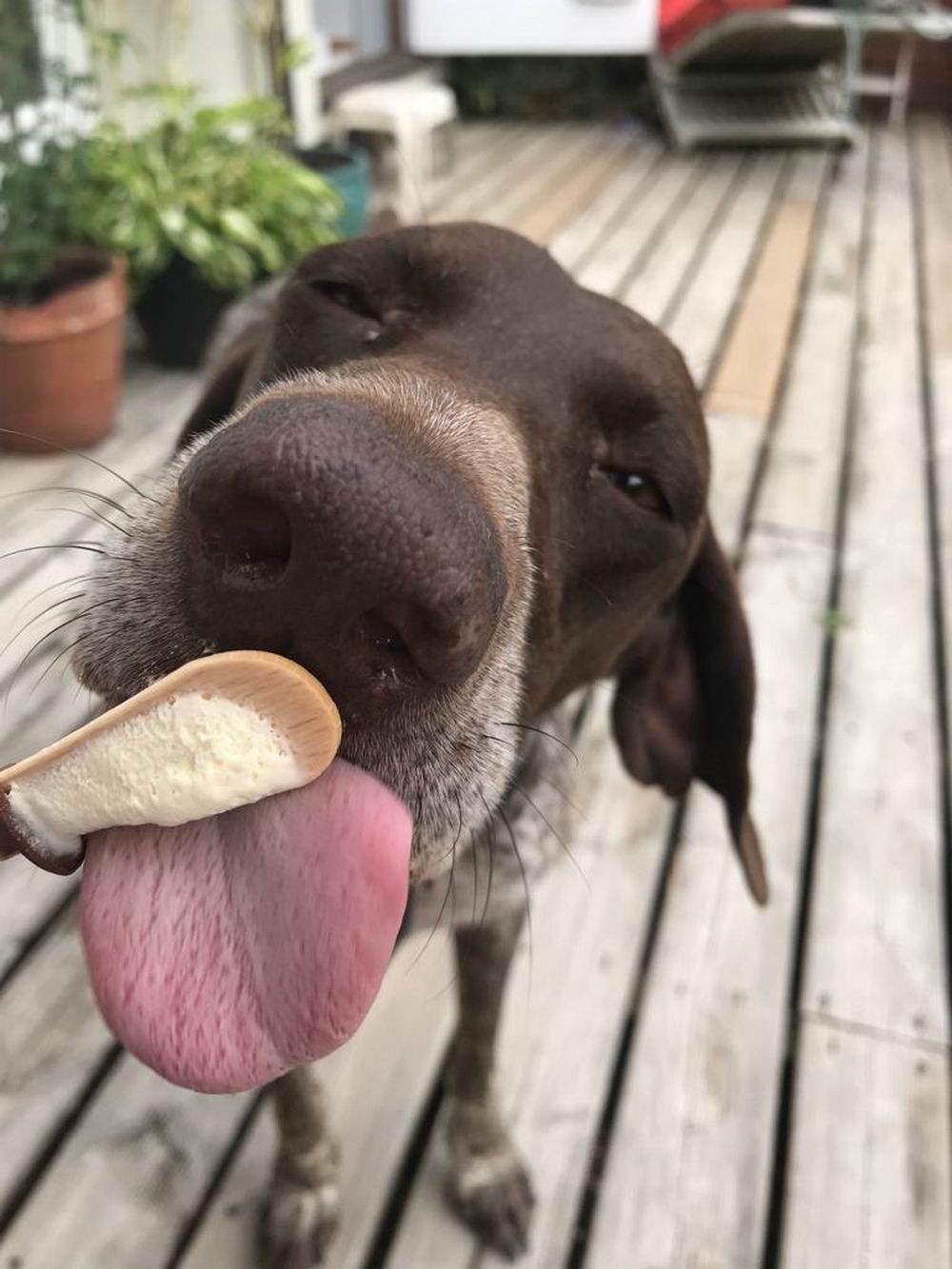 Daily Pictures. Part 1 (71 pics) Daily Pictures. Part 1 (71 pics)