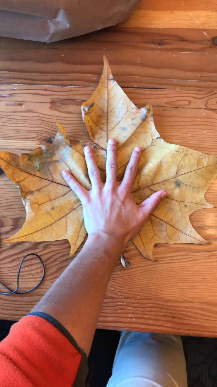 Daily Pictures. Part 1 (71 pics) Daily Pictures. Part 1 (71 pics)