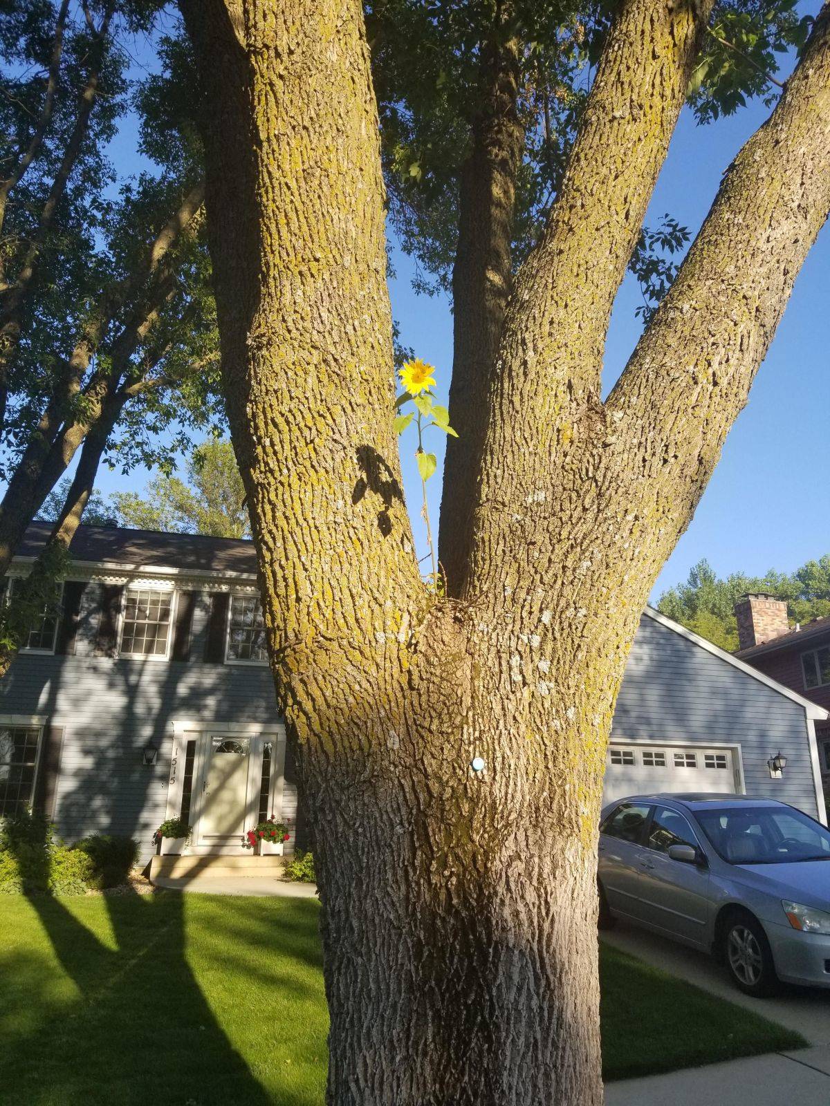 Daily Pictures. Part 1 (71 pics) Daily Pictures. Part 1 (71 pics)