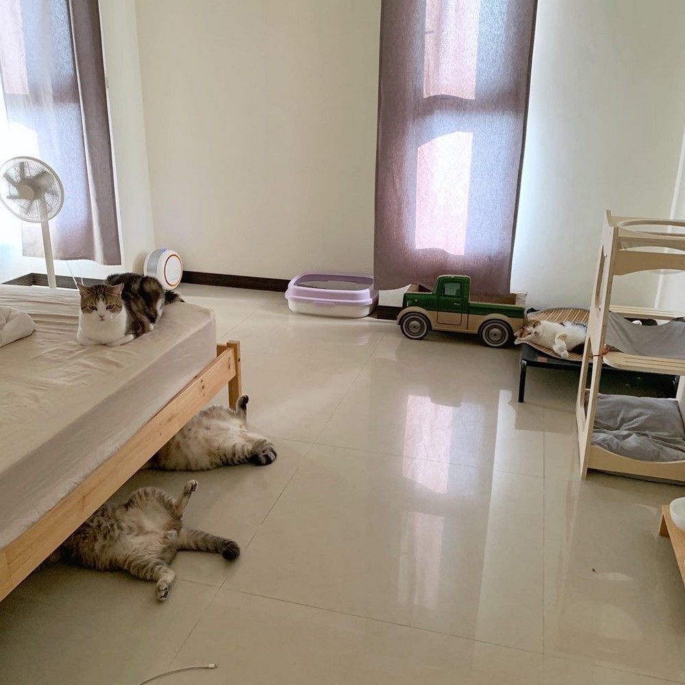 Daily Pictures. Part 1 (71 pics) Daily Pictures. Part 1 (71 pics)