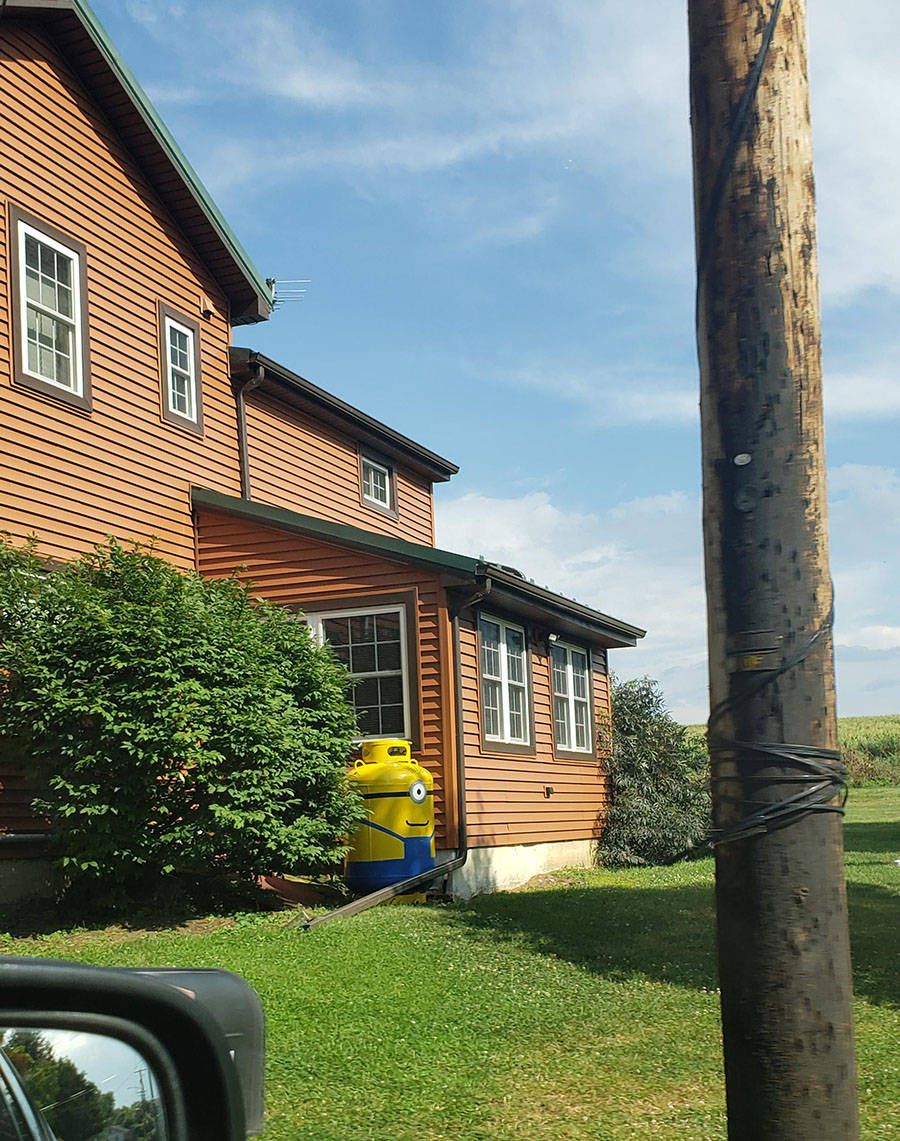 Daily Pictures. Part 1 (71 pics) Daily Pictures. Part 1 (71 pics)