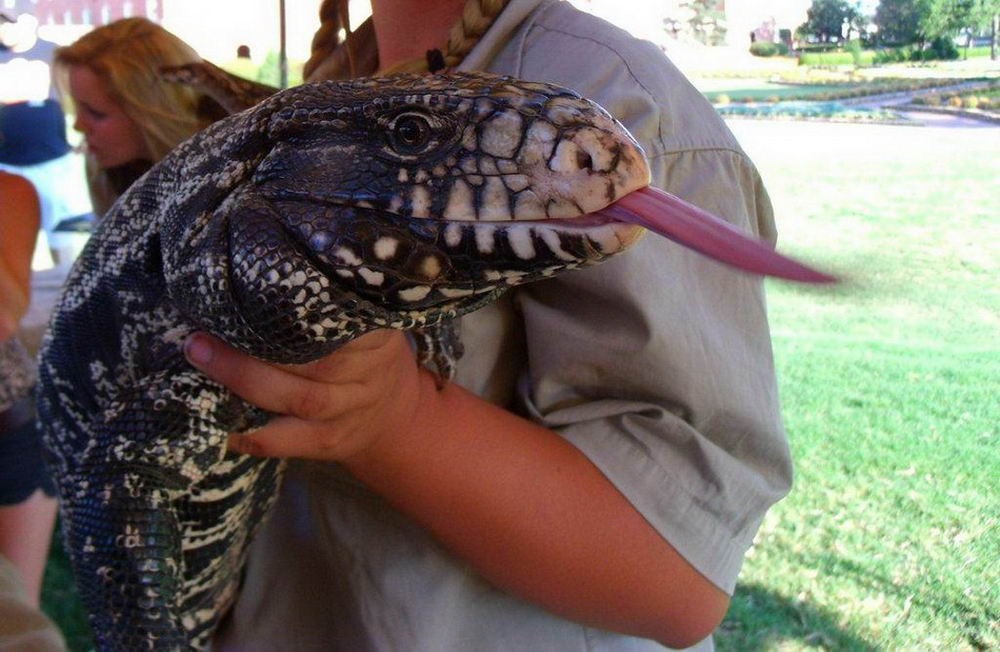 Daily Pictures. Part 1 (71 pics) Daily Pictures. Part 1 (71 pics)