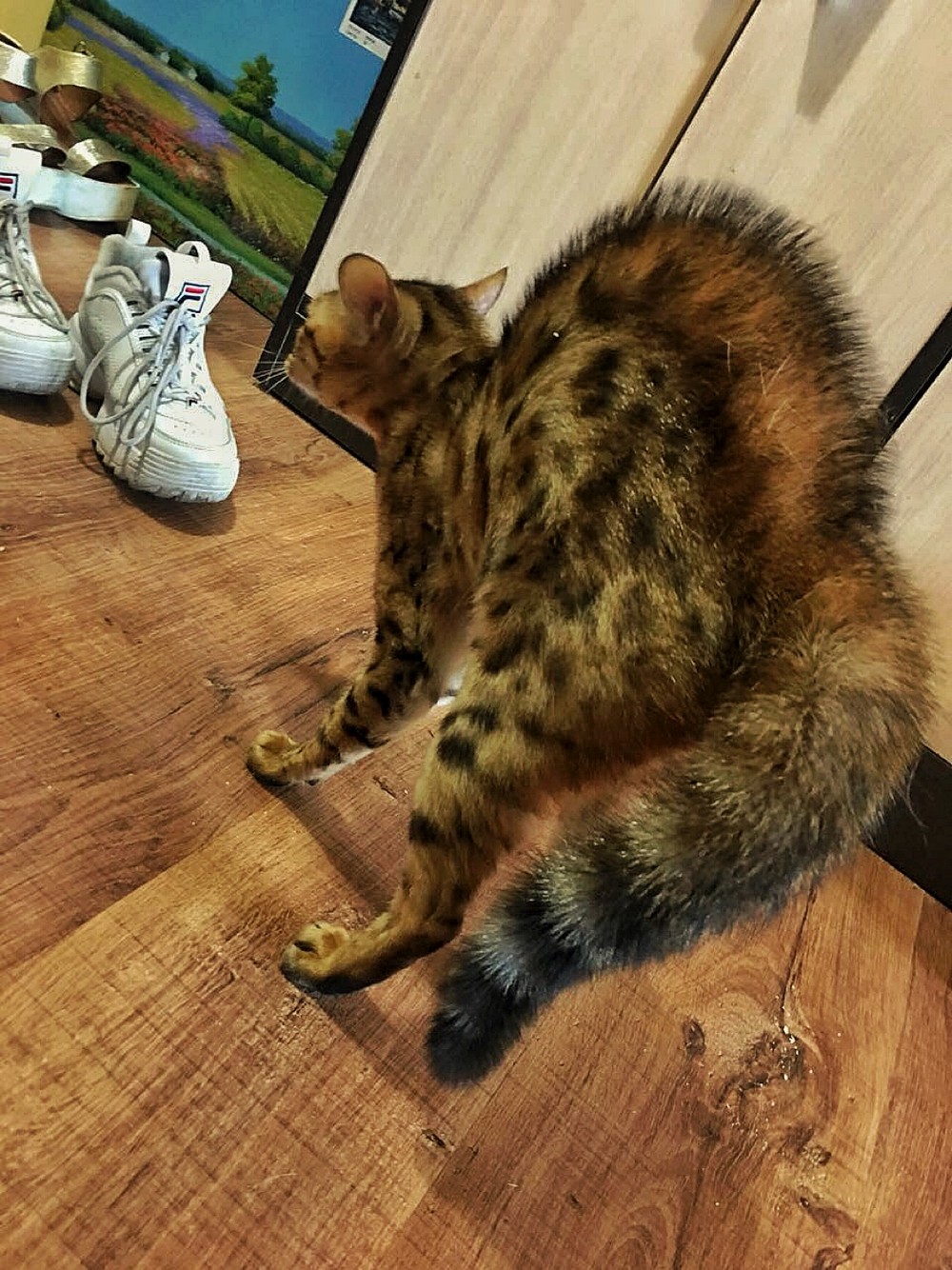 Daily Pictures. Part 2 (70 pics)