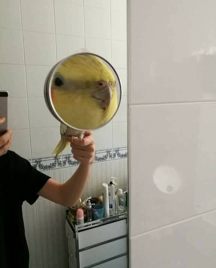 Daily Pictures. Part 2 (70 pics)