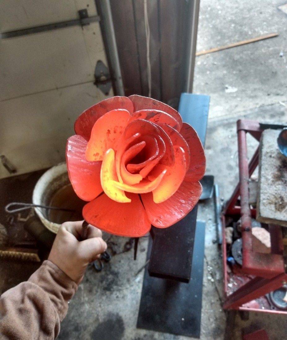 Daily Pictures. Part 2 (70 pics)