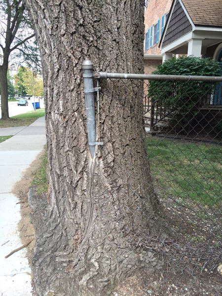 Daily Pictures. Part 1 (71 pics) Daily Pictures. Part 1 (71 pics)