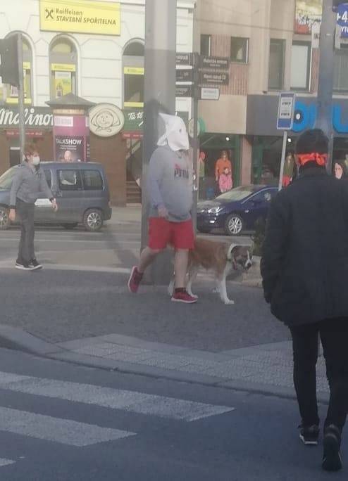 Daily Pictures. Part 2 (70 pics)