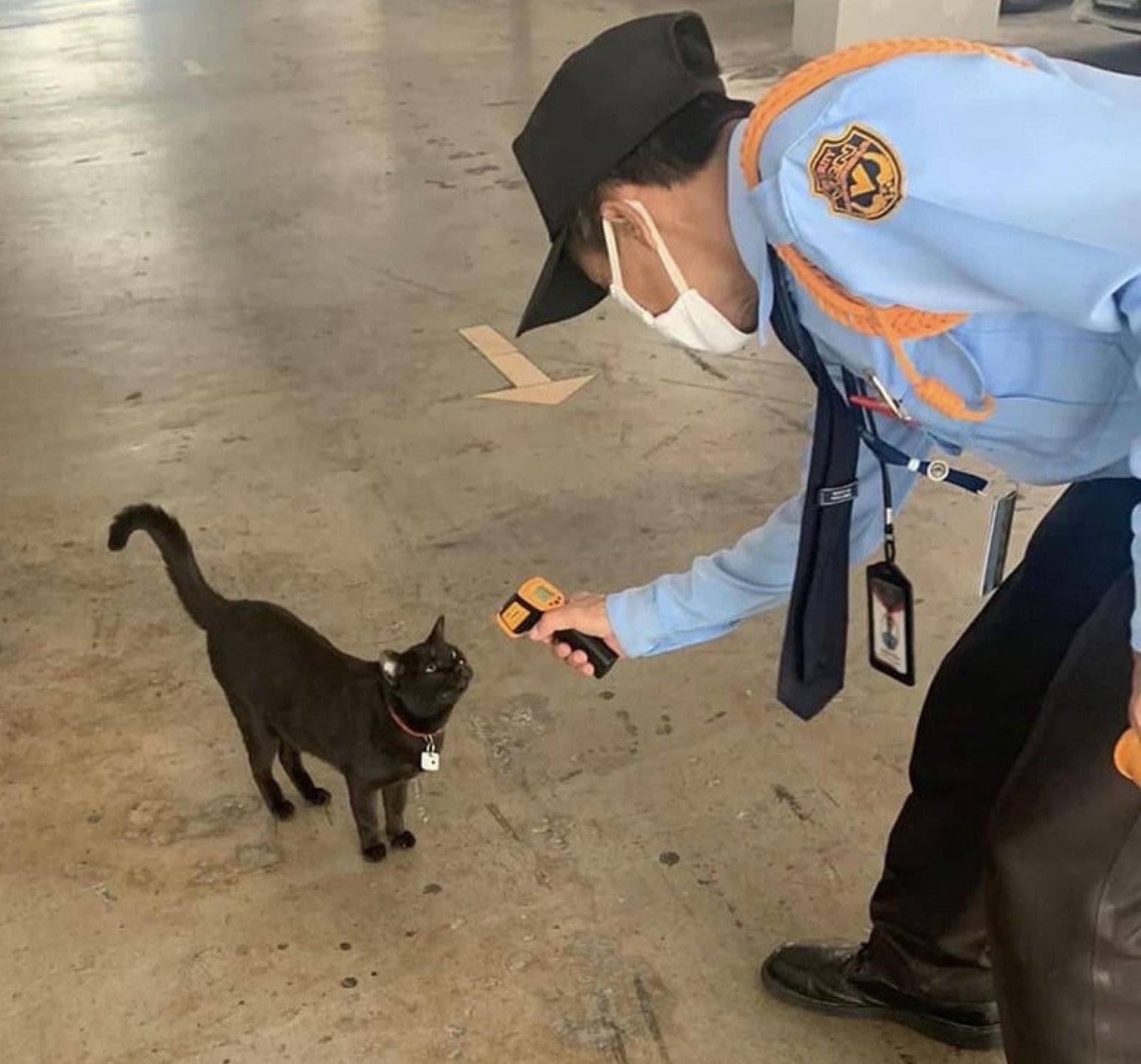 Daily Pictures. Part 2 (70 pics)