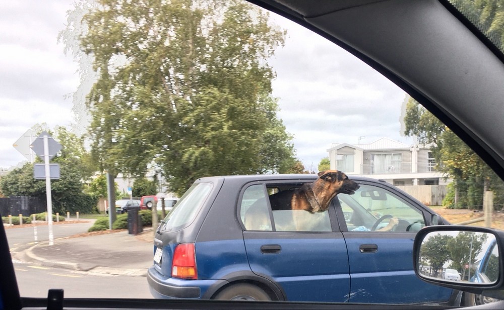 Daily Pictures. Part 2 (70 pics)