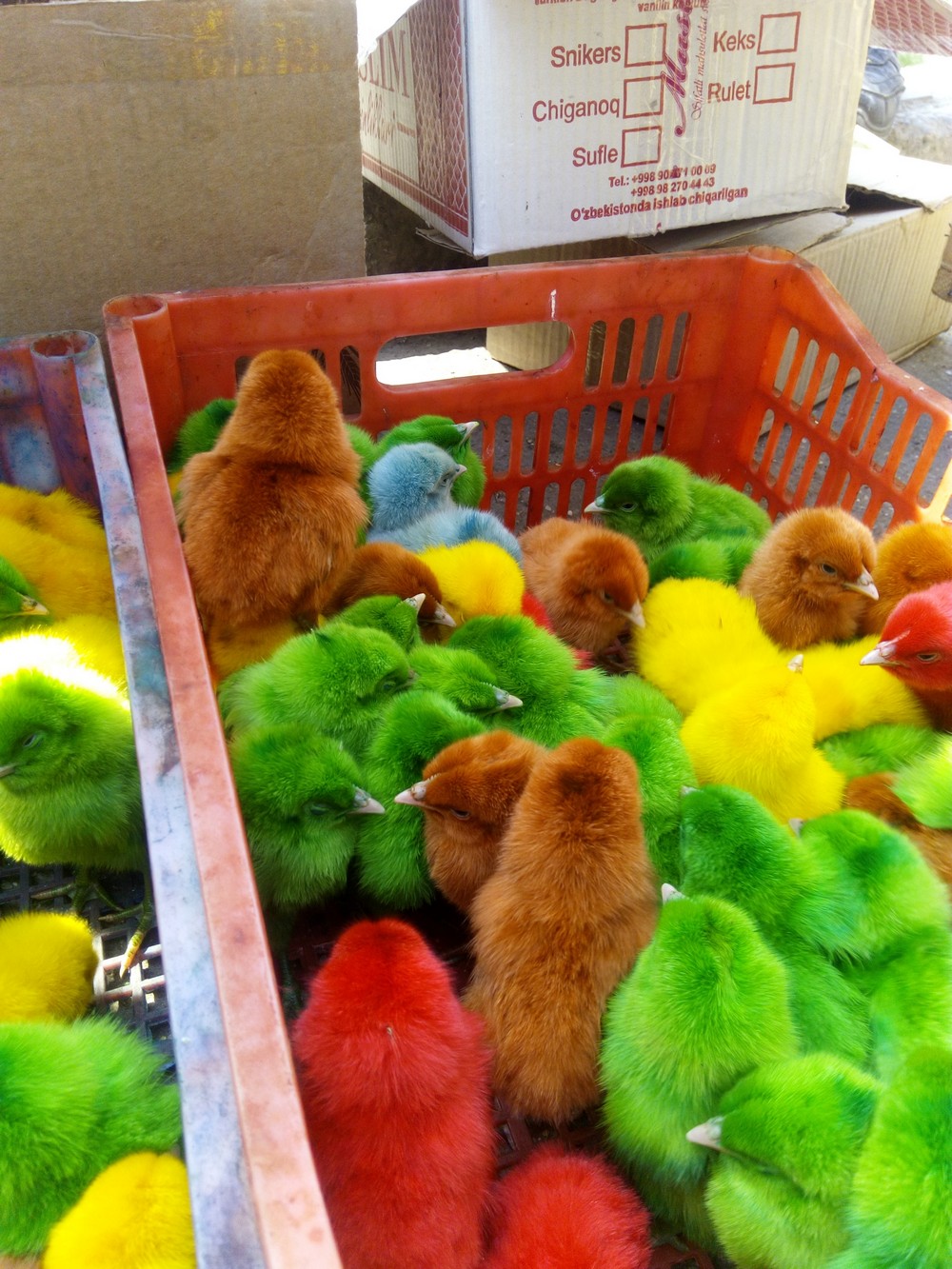 Daily Pictures. Part 2 (70 pics)