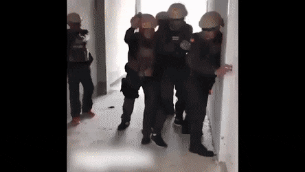 Acid GIFs, January 22 (25 gifs) Acid GIFs, January 22 (25 gifs)