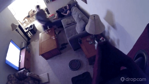 Acid GIFs, January 22 (25 gifs) Acid GIFs, January 22 (25 gifs)