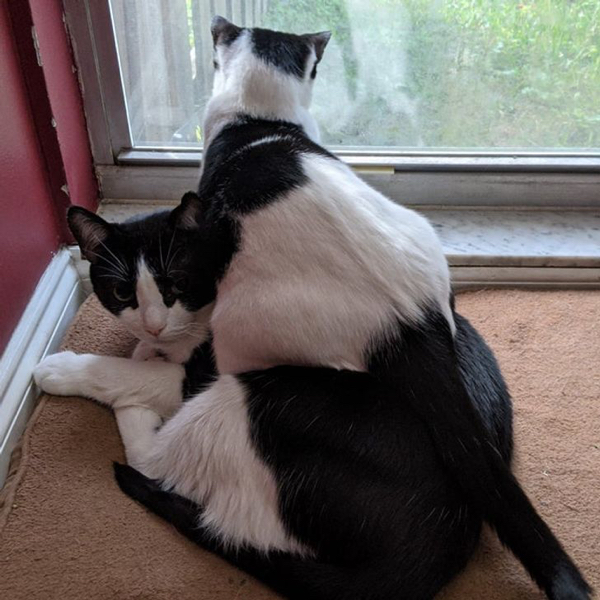 They Don't Care About Your Personal Space (21 pics)