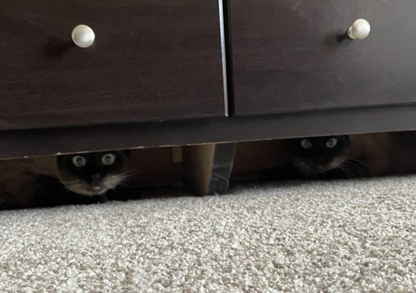 They Don't Care About Your Personal Space (21 pics)