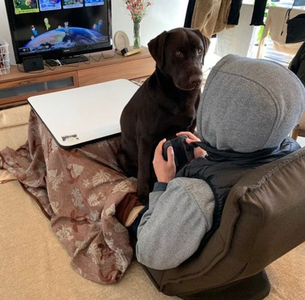 They Don't Care About Your Personal Space (21 pics)