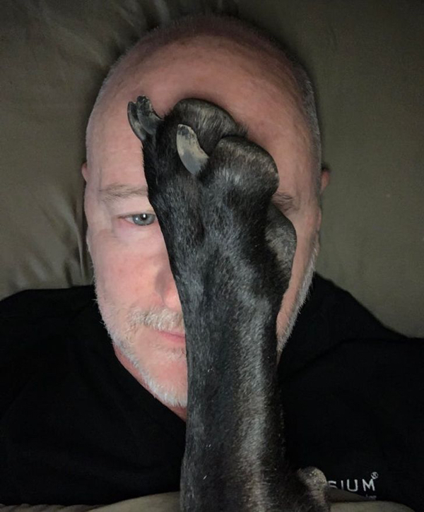 They Don't Care About Your Personal Space (21 pics)