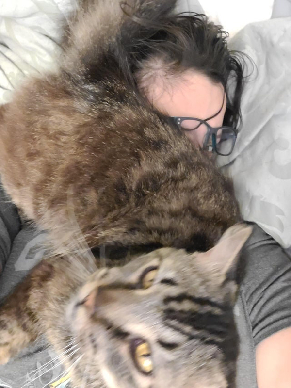 They Don't Care About Your Personal Space (21 pics)