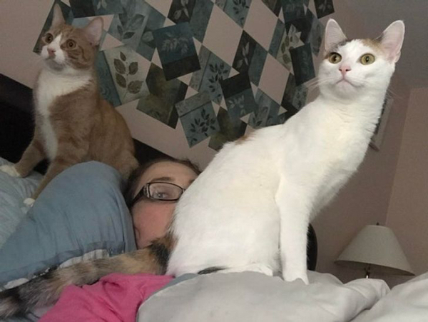 They Don't Care About Your Personal Space (21 pics)