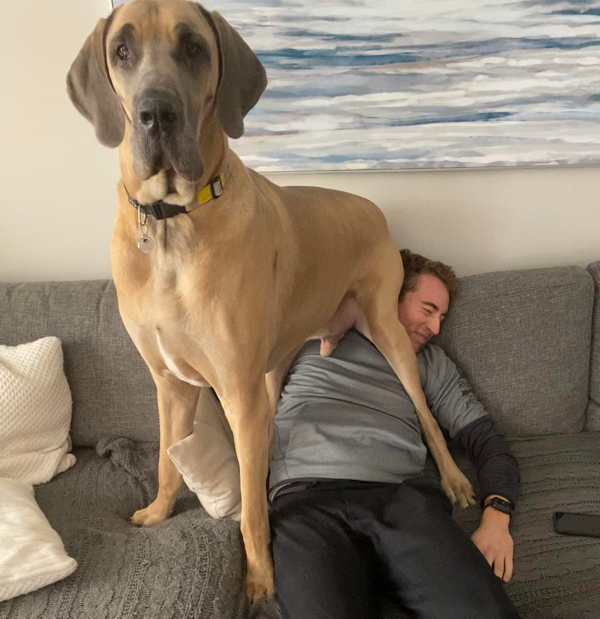 They Don't Care About Your Personal Space (21 pics)