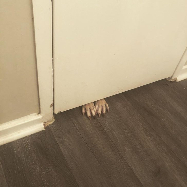 They Don't Care About Your Personal Space (21 pics)