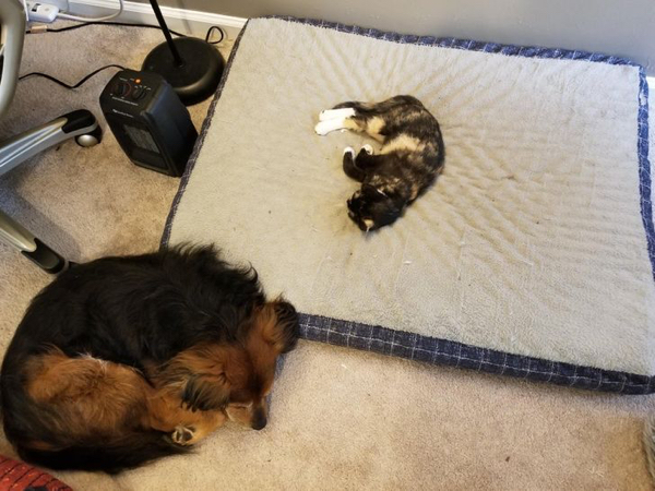 They Don't Care About Your Personal Space (21 pics)