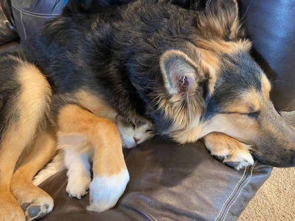 They Don't Care About Your Personal Space (21 pics)