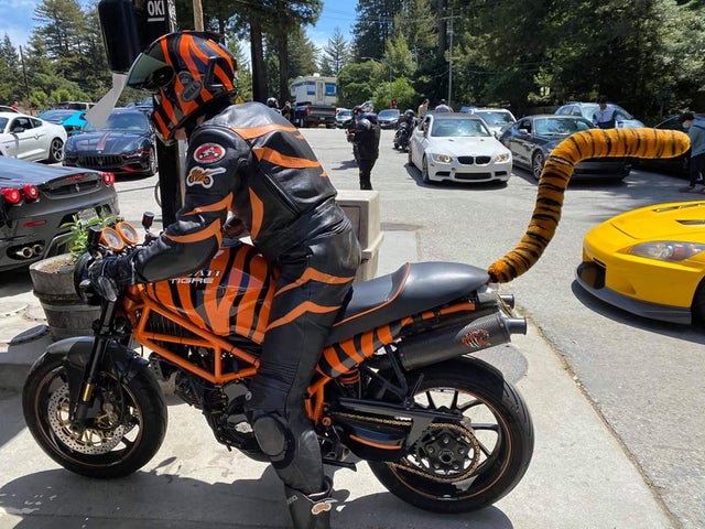 Strange Designs (21 pics)