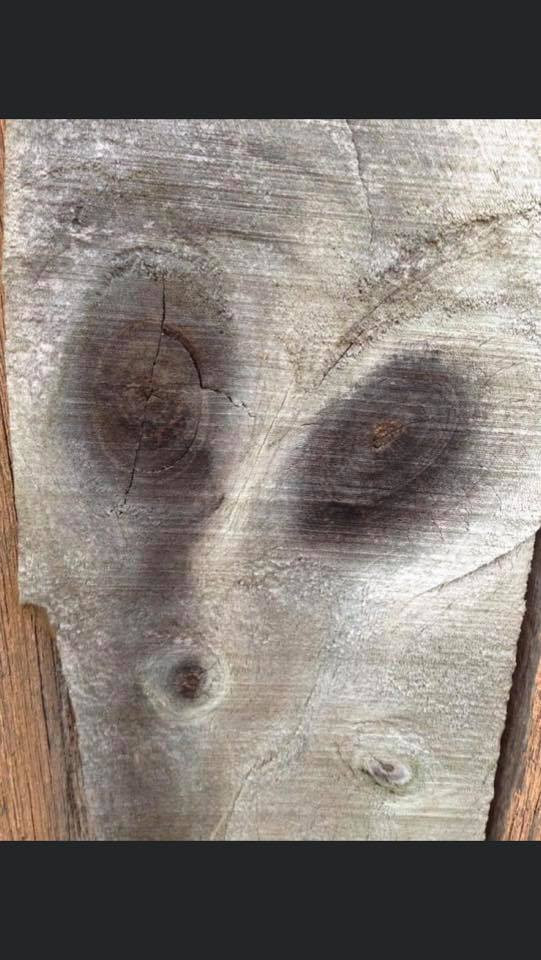 This Is Pareidolia (23 pics)