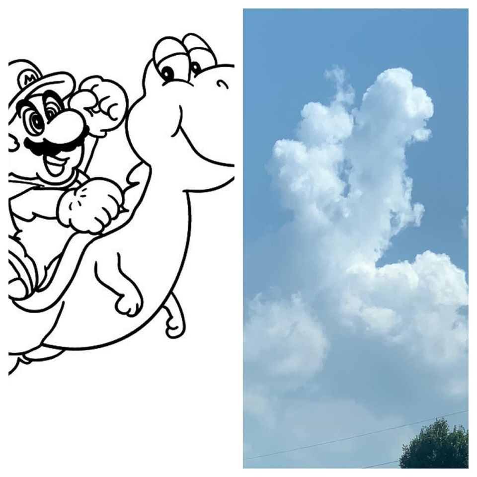 This Is Pareidolia (23 pics)