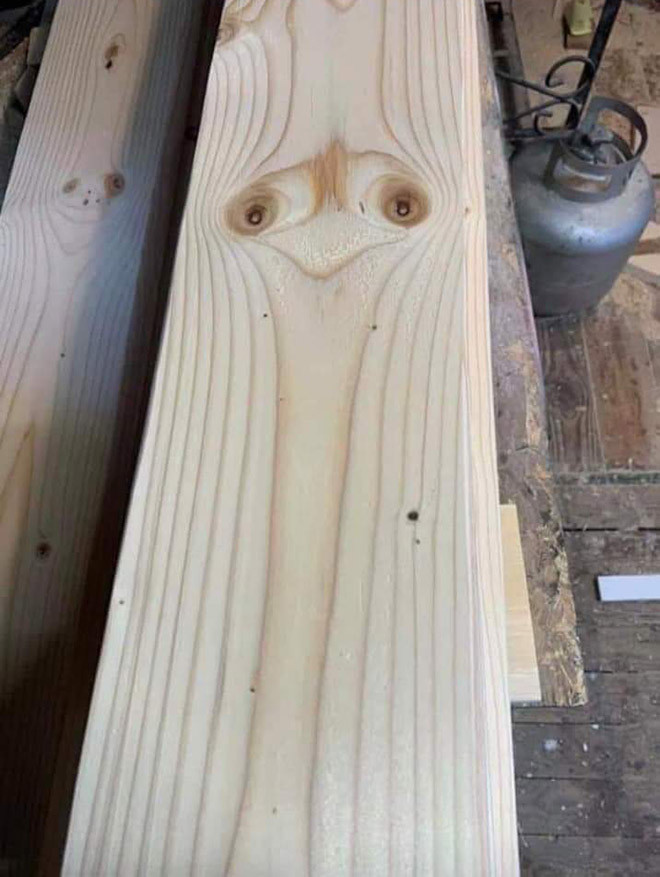 This Is Pareidolia (23 pics)