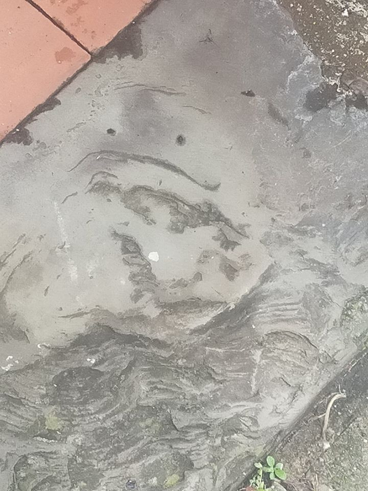 This Is Pareidolia (23 pics)