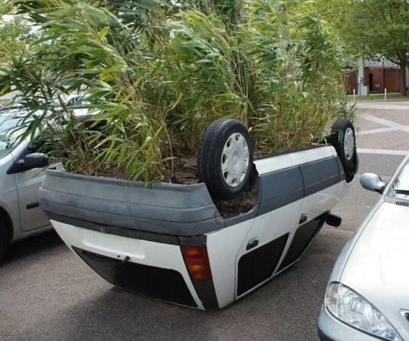 What Is Going On Here? (18 pics)