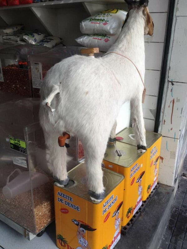 What Is Going On Here? (18 pics)