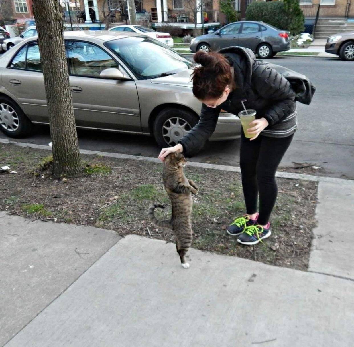 Daily Pictures. Part 1 (69 pics) Daily Pictures. Part 1 (69 pics)