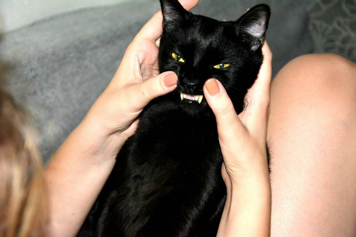 Daily Pictures. Part 1 (69 pics) Daily Pictures. Part 1 (69 pics)