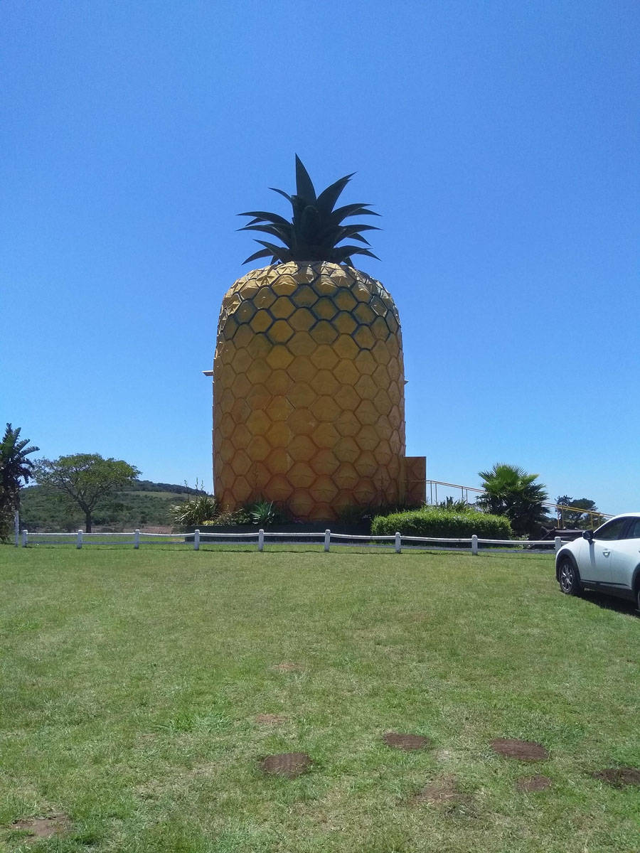 Daily Pictures. Part 1 (69 pics) Daily Pictures. Part 1 (69 pics)