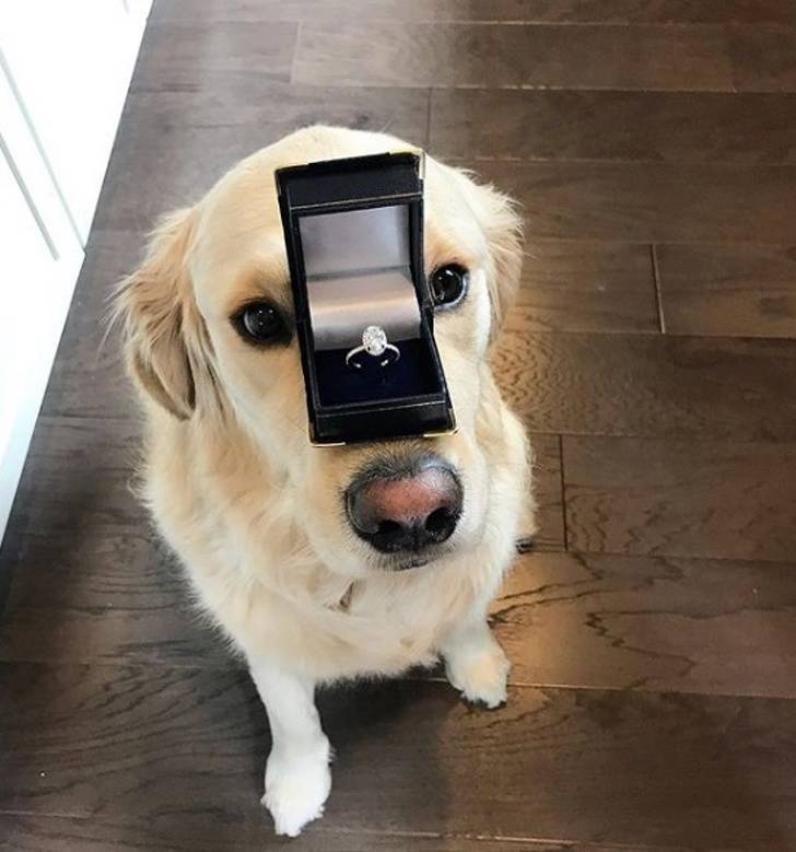 Daily Pictures. Part 1 (69 pics) Daily Pictures. Part 1 (69 pics)