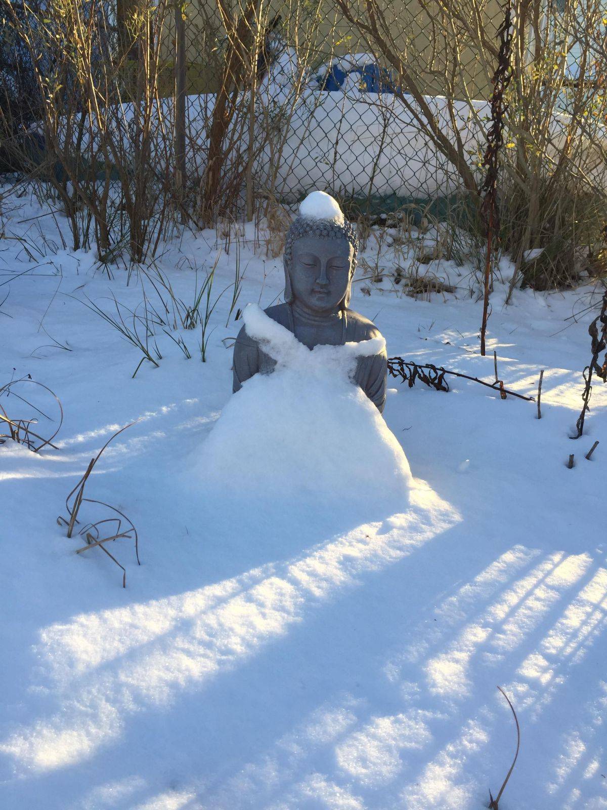 Daily Pictures. Part 1 (69 pics) Daily Pictures. Part 1 (69 pics)