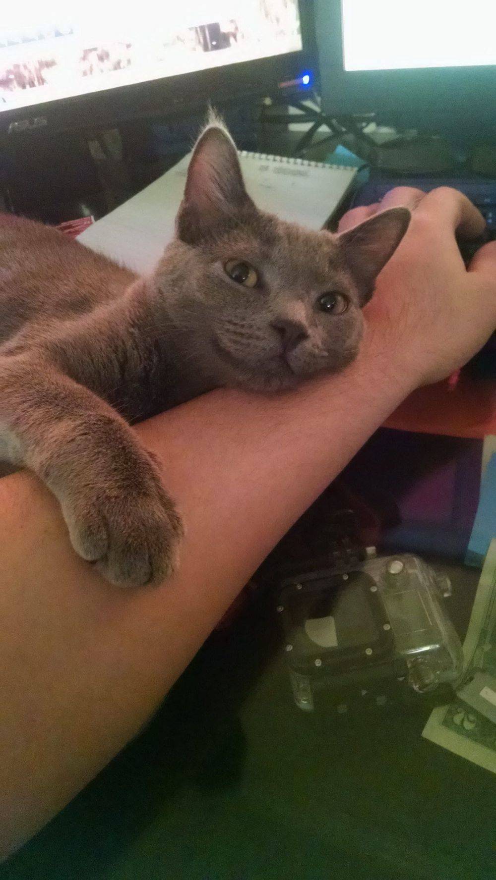 Daily Pictures. Part 1 (69 pics) Daily Pictures. Part 1 (69 pics)